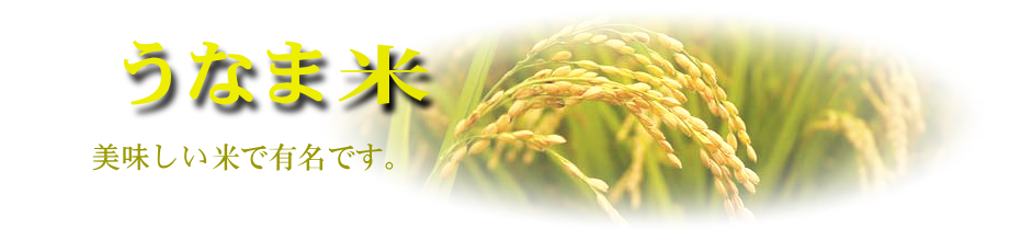 ���Ȃܕā@�F�[�ԁ@�k���@�������@�q�m�q�J���@�Ђ̂Ђ���